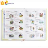 My first big english book of picture dictionary for kids
