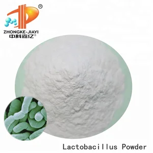 Weight Loss Supplements Lactobacillus Acidophilus Probiotics For Kids