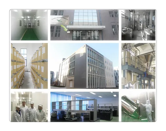 0110 factory tonking.jpg