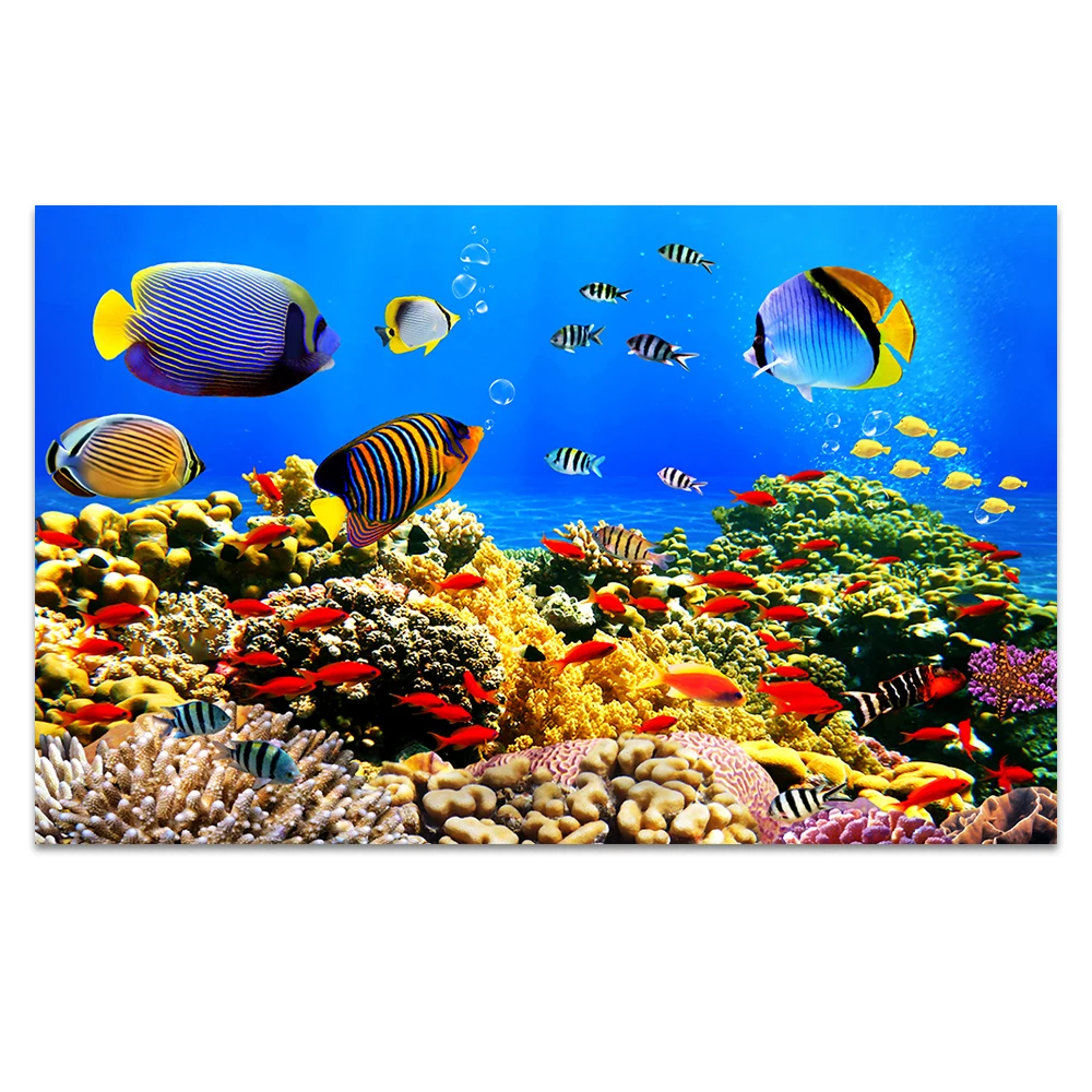 Custom 3d Stereo Cartoon Tropical Fish Underwater World Mural Custom 3d Stereo Cartoon Tropical Fish Underwater World Mural