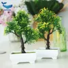 China Wholesale Artificial potted Mini Succulent Plants