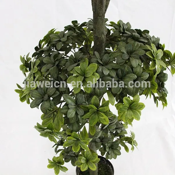 Big Artificial Topiary Pittosporum Tree Wooden Trunk Decoration House