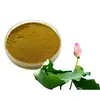 lotus leaf/extract/tea