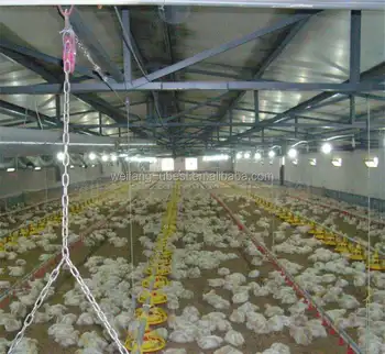 Name Of Poultry Farms With Broiler Chicken Machine - Buy 