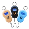 Amazon Top Seller 2019 New Products Test Instruments Mini Spring Electric Spring Hanging Luggage Scale Weighing Scales