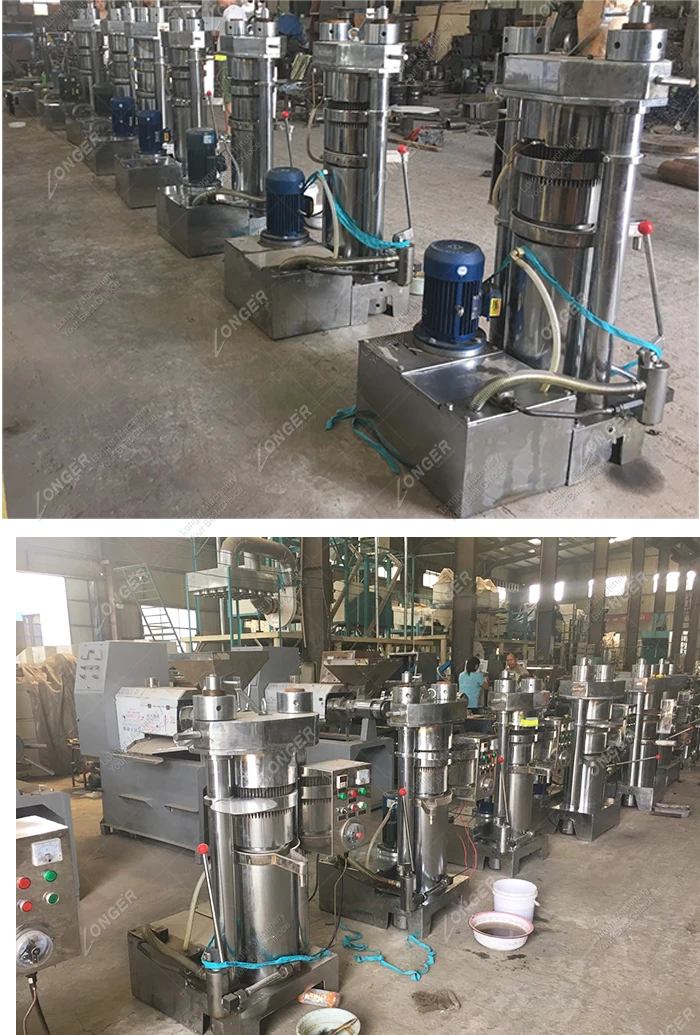 Commercial Factory Price Cotton Black Seed Olive Oil Cold Filter Squeezing Machinery Sesame Soybean Hydraulic Oil Press Machine