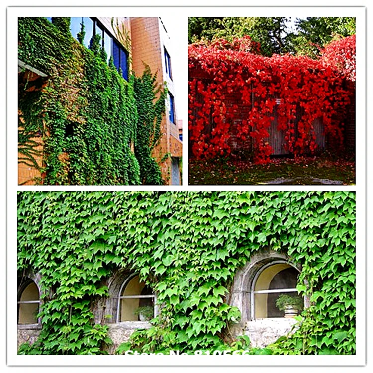 Online Get Cheap Artificial Outdoor Plants Trees