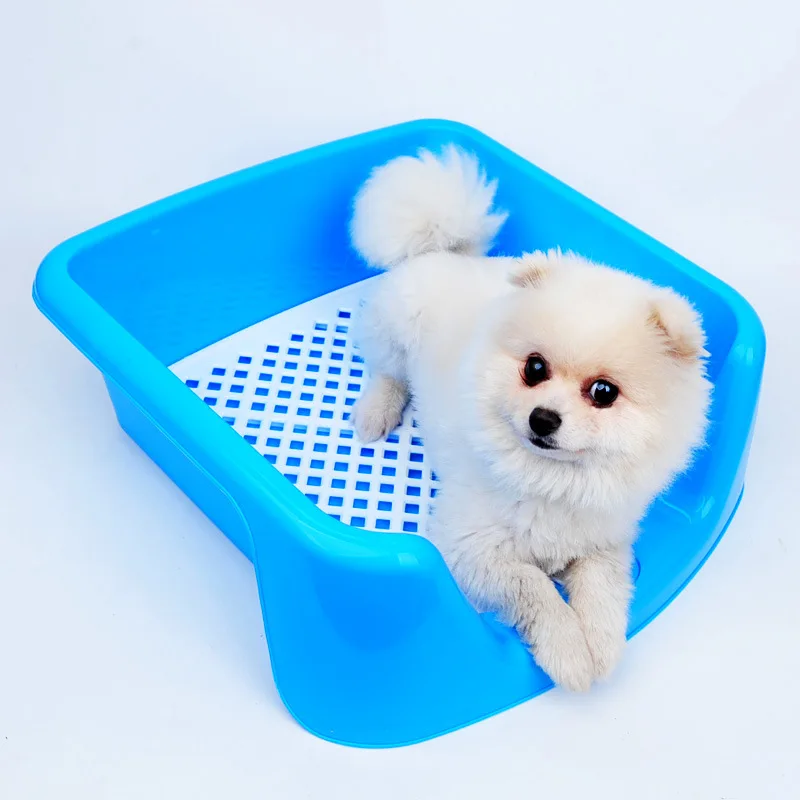 small dog toilet