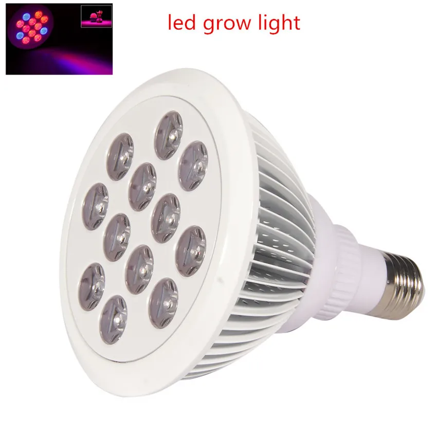 Customize Spectrum PAR38 12W miracle blue led grow light bulb canada for Leaf lettuce vegetative growth