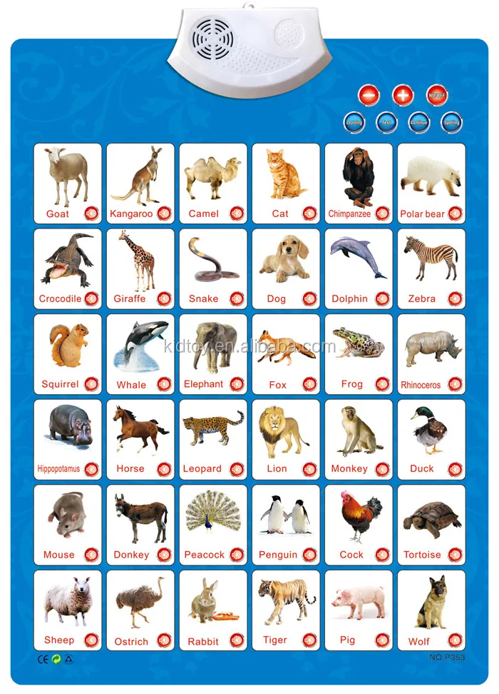 english alphabet learning wall chart for children