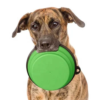 Extra Large Adjustable Dog Cat Water Food Bowls 2 Pack Green