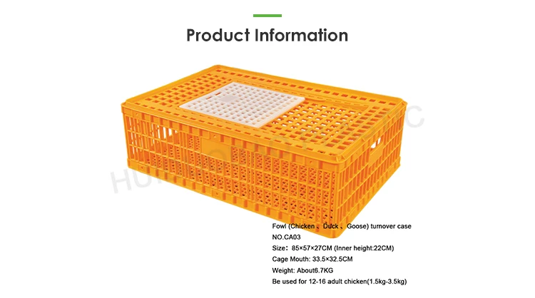 Poultry Breeding Equipment High Strength Construction Plastic Ducks Coop Chicken Nesting Box Chicken Coops For Hot Sale Buy Poultry Chicken