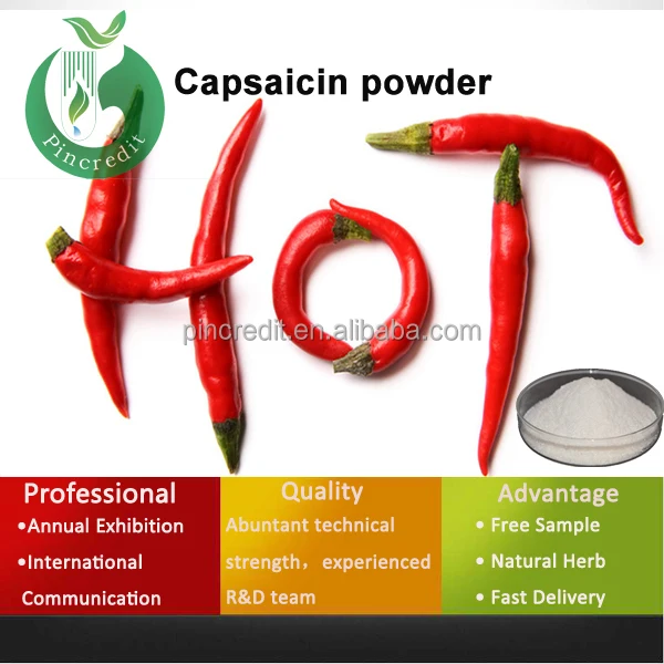 Pure Hot Pepper Extract Pure Capsaicin 95 Capsaicin Powder Buy