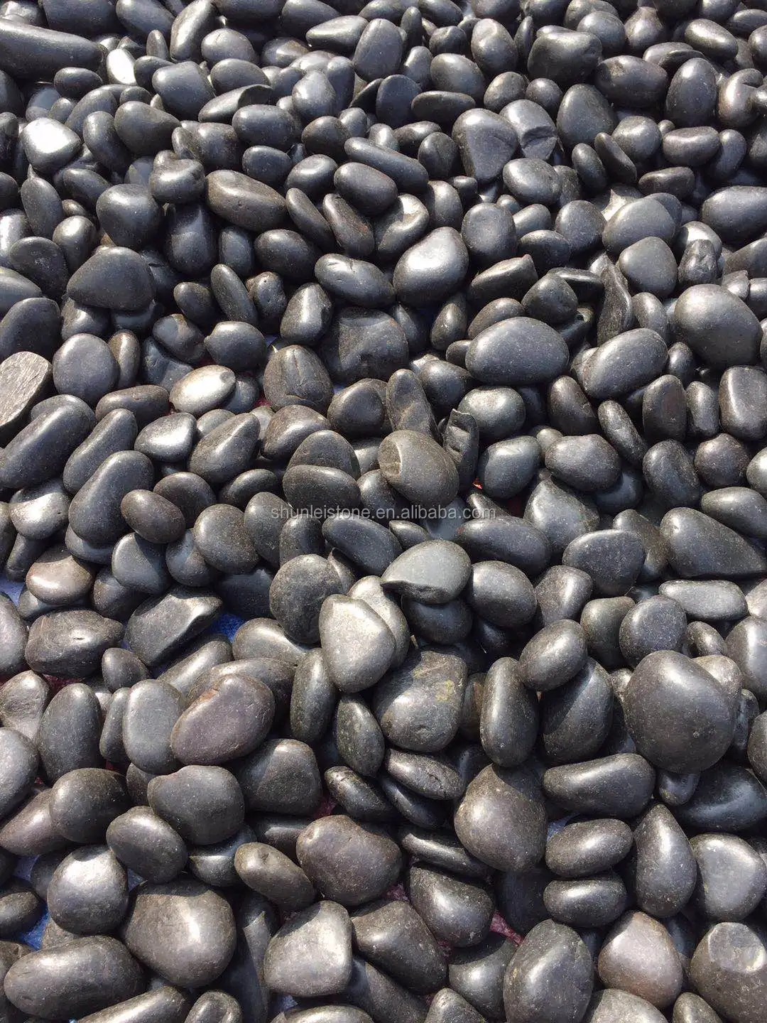 High Polished Black River Pebble Stone Buy Black River Pebble Stone