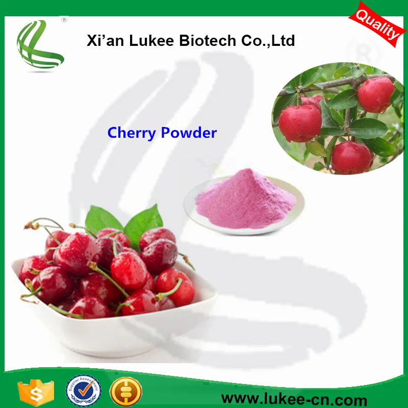 Free Sample High Qaulity Organic Acerola Cherry Extract/ Cherry Fruit