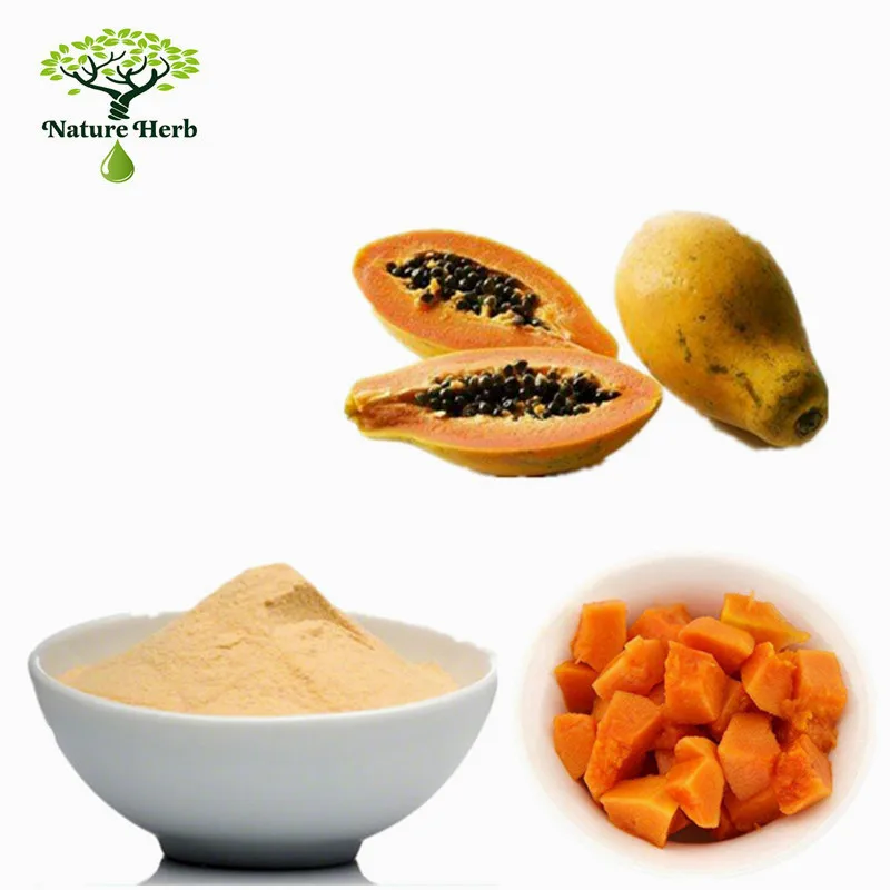 Water Soluble Dry Papaya Powder/ Papaya Concentrate Juice Powder Buy Papaya Concentrate Juice