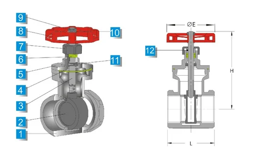 casrting ss 304 gate valve 1/2" from china