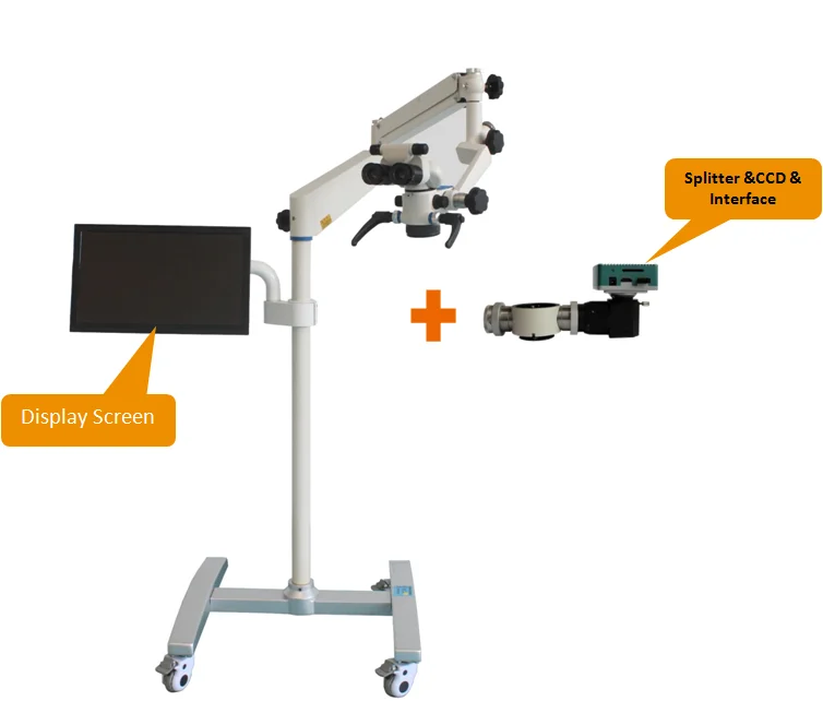 歯科手術器具 Pdf 矯正の写真と名前 Labomed 顕微鏡 510 6b Buy 歯科用器具写真と名前 写真の歯科 Instruments Pdf 歯科手術器具矯正 Product On Alibaba Com