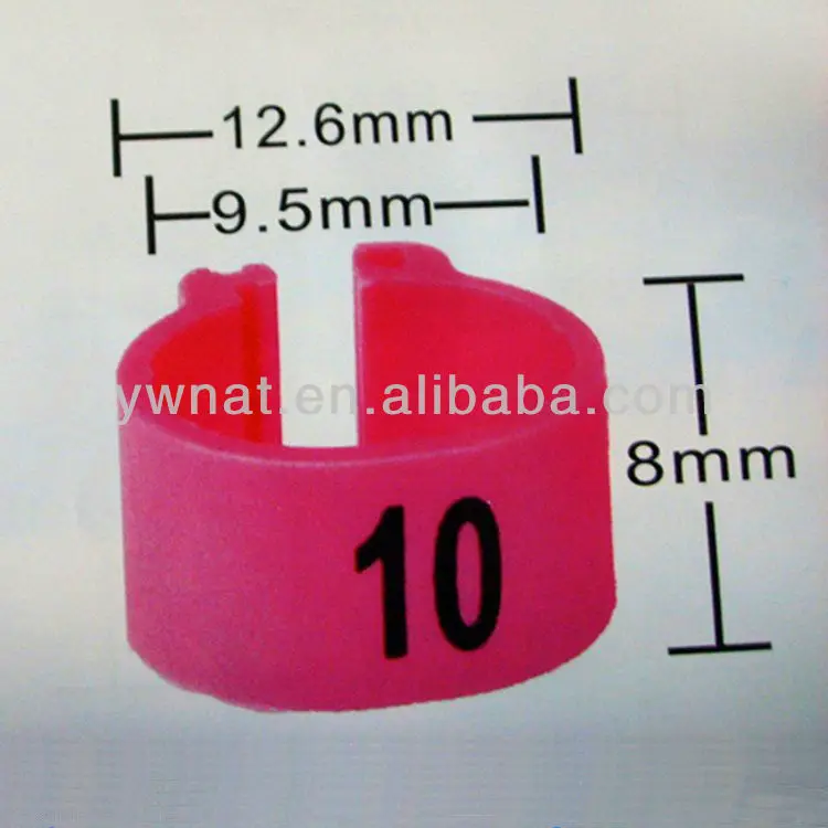 YZ-009_.jpg