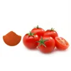 Spray dried tomato powder