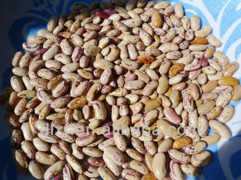 P1060366  90% purity.JPG