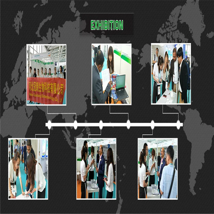 MAGNESIUM TRISILICATE