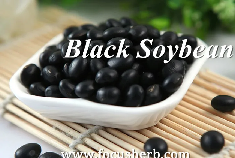 Focus Herb Black Bean Skin Extract Buy Black Bean Skin Extract,Black