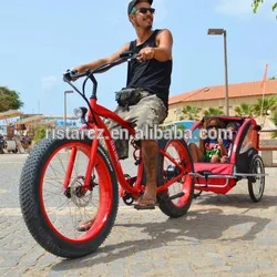 tricycle electric bicycle