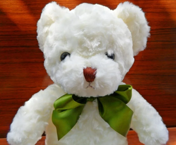 recordable teddy