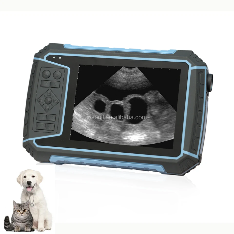 Plp6 Waterproof Animals Portable Ultrasound Machine Price Buy Dog Pregnant Ultrasound Scanner