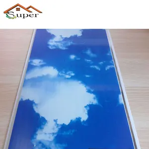 Sky Ceiling Panel Sky Ceiling Panel Suppliers And Manufacturers