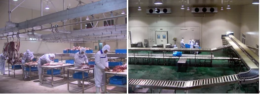 Sheep Goat Slaughterhouse Slaughtering Machinery Sheep Slaughterhouse