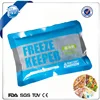 Wholesale cost effective 250g Reusable Ice Pack, Cold Gel Pack, Gel Pack for vegetables Transportation