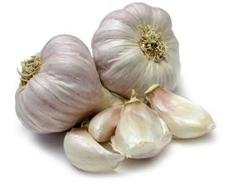 Normal White Garlic bulbs available for Shipment