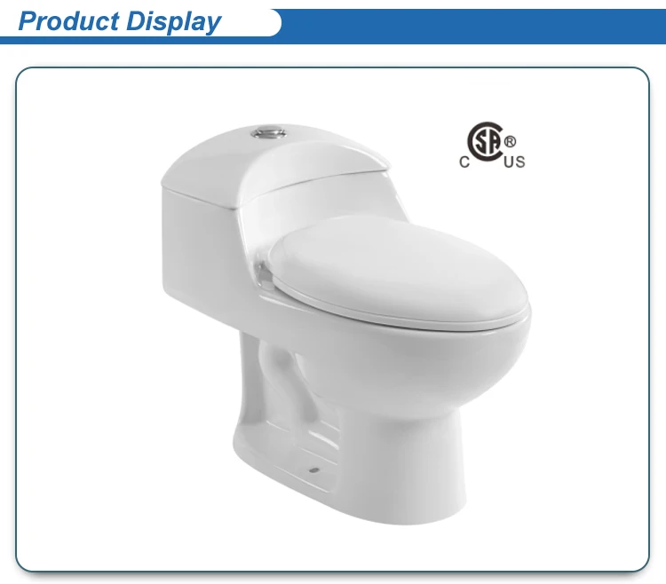 Csa Certificated Dual Flush One Piece Elongated Rim Water Closet 8085 Buy Csa Elongated One 5093