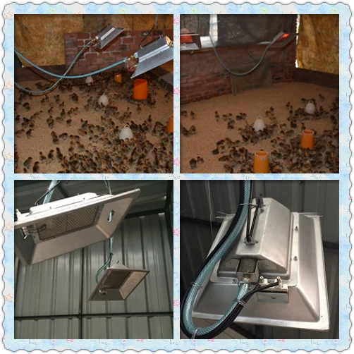 Broiler Heater Chicken Brooder For Sale Buy Chicken Brooder,Chick Brooder,Chicken Brooder For