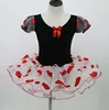 Wholesale Professional Ballet Dance Dress Costumes Fancy Girls Performance Ballet TUTU