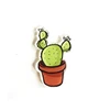 Badge Custom Acrylic Button Cactus Lapel Pin