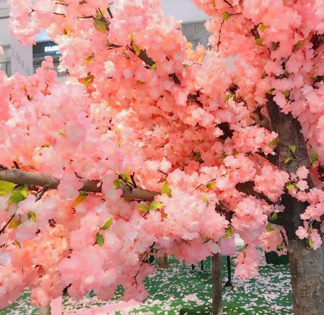 wedding cherry blossom tree