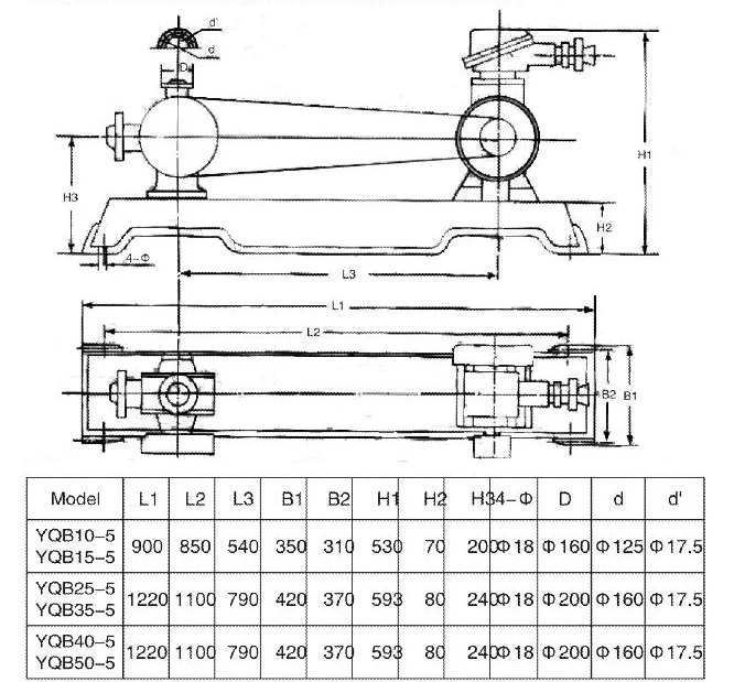 Yonjou LPG Transfer Pump