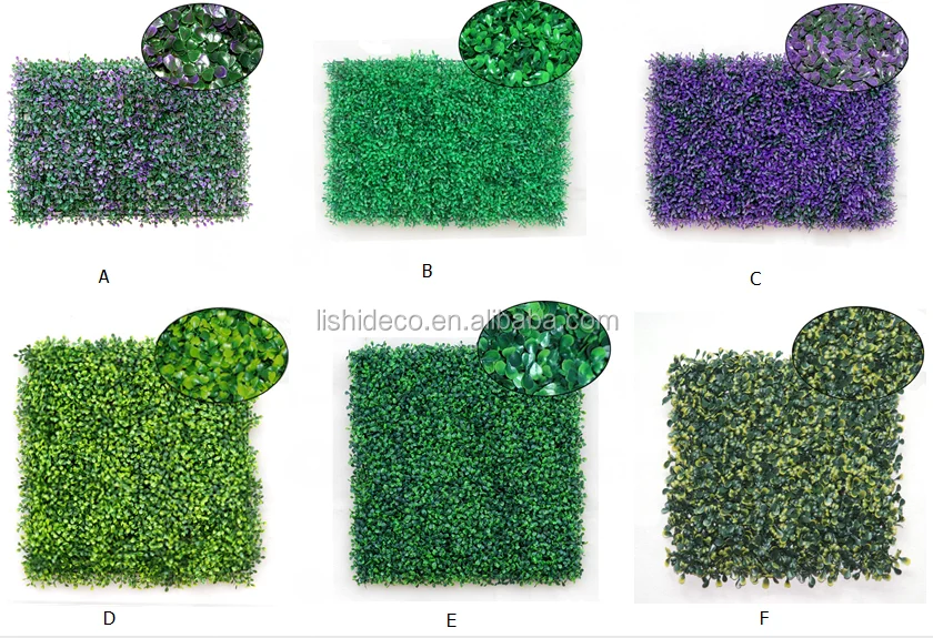 Boxwood hedge.png
