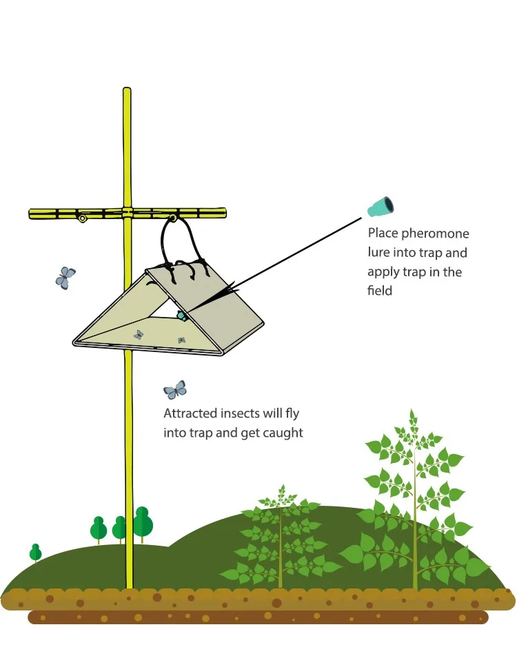 Delta Moth Trap,Pheromone Trap,Insect Pest Trap Buy Glue Trap,Moth