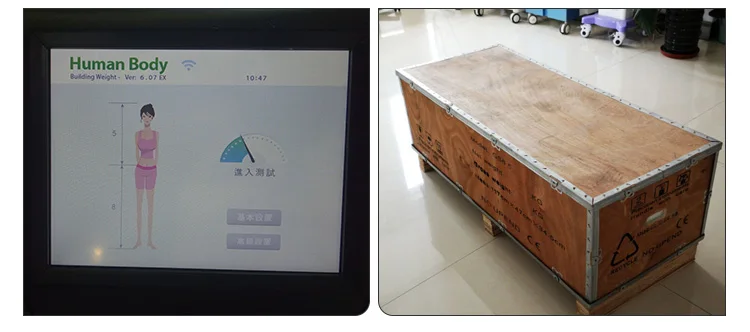CE approval bioimpendance body analyzer machine price
