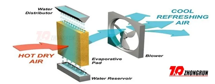 poultry farm-jackson170428 (1)_