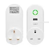 China Manufacture Wifi Tuya Smart Modern Electrical Socket with TuyaSmart APP Control PST-C178