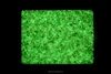 Glow in dark Luminous solid surface artificial stone (green)
