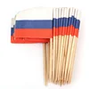 Factory Superior quality mini size burger toothpick flag with personalized packing