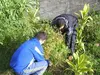 GreenEcoClub