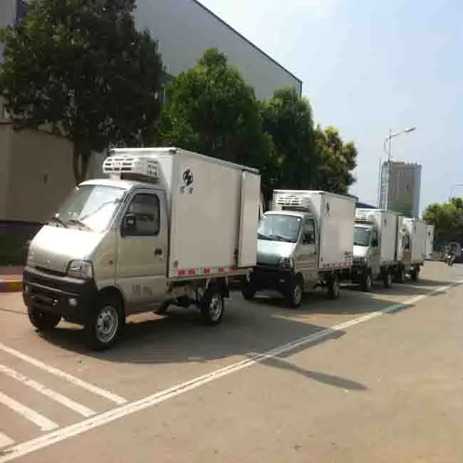 mini truck.jpg