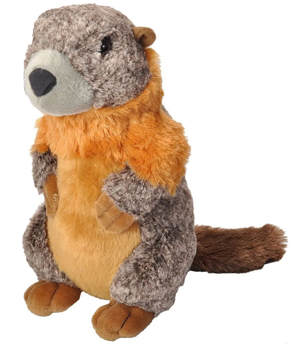 custom stuffy